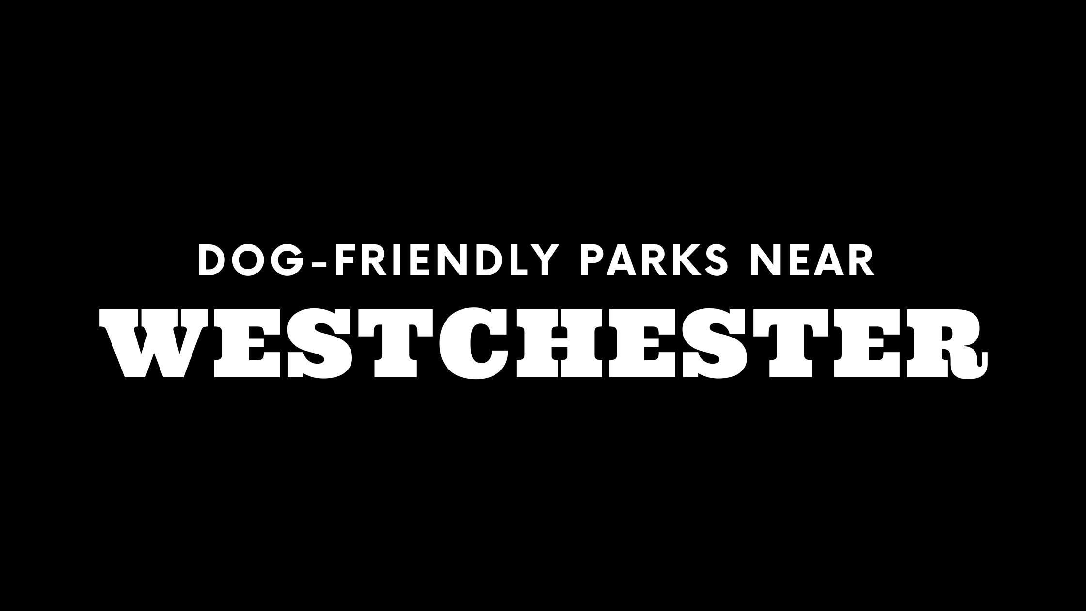 dog-friendly-parks-near-westchester